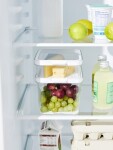 ROTHO Organizér do ledničky CAUMA box 2,6 L