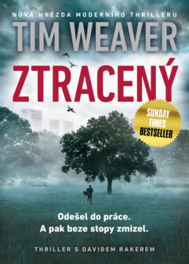 Ztracený - Tim Weaver - e-kniha