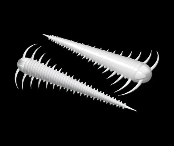 Libra Lures Červ Slayzur 55 12ks - White 001,Libra Lures Červ Slayzur 55 12ks - White 001