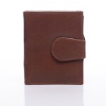 Dámská kožená peněženka Leather Dream in Tan