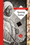 Vycpaný barbar - Gergely Péterfy