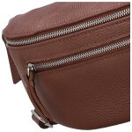 Trendy dámská kožená kabelko-ledvinka Arwel, hnědá