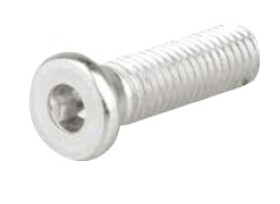 Strong upevňovací šroub (82563)