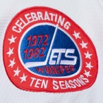 Mitchell & Ness Pánský dres Winnipeg Jets NHL Dale Hawerchuk #10 1981-82 Premium Power Play Velikost: 2XL