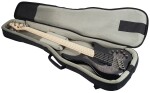 Dingwall Combustion 5 MN Black Burst