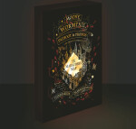 Obraz LED svítící 30x40, Harry potter Pobertův plánek