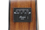 Ibanez AAM54CE Natural (rozbalené)