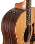 Taylor GS Mini-e Rosewood LTD Nat Top 50th Anniversary