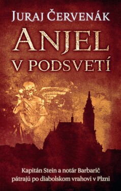 Anjel v podsvetí (7. diel)