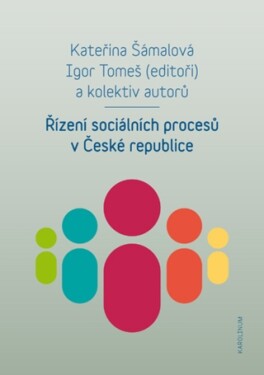 Řízení sociálních procesů v České republice - Igor Tomeš, Kateřina Šámalová - e-kniha