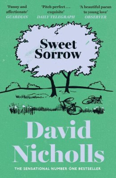 Sweet Sorrow - David Nicholls