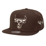 Mitchell & Ness Pánská kšiltovka Chicago Bulls NBA Brown and Cream Snapback