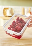 ROTHO Organizér do ledničky CAUMA box 2,15 L