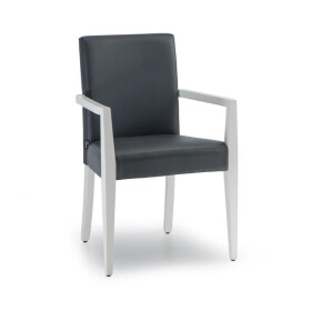 NábytekProNás Designové křesílko DIANA 220 STI-DIANA220