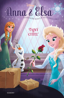 Anna a Elsa - Tajný ctiteľ - Erica David