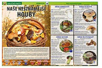 Naše nejznámější houby