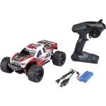 Amewi Crazy Crawler 1:10 RC model auta elektrický, Crawler, 4WD (4x4), vč. akumulátorů, nabíječky a baterie ovladače, 22