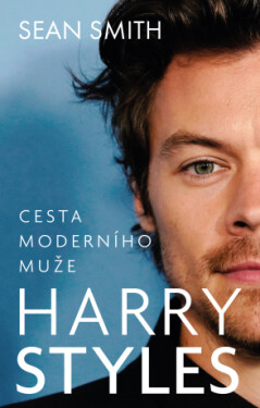 Harry Styles - Sean Smith - e-kniha