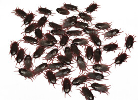 Erfurth.cz Šváb gumový - 1 kus