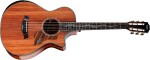 Taylor PS12ce 12-Fret Next Generation