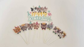 Dortisimo Zápich do dortu Happy Birthday s kočkami (9 ks)