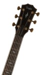 Taylor Builders Edition 814ce