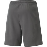 Pánské kraťasy TeamRise Short 704942 13 Puma