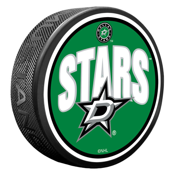Mustang Puk Dallas Stars NHL Wordmark
