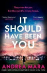 It Should Have Been You - Andrea Mara
