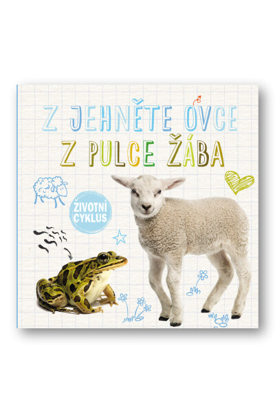 Ovce, pulce žába
