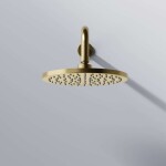 STEINBERG - 340 Hlavová sprcha, průměr 22 cm, kartáčované zlato 340 1686 BG