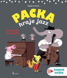 Packa hraje jazz - zvuková knížka, 1. vydání - Huche Magali Le