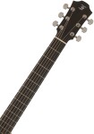 Furch Blue Plus Gc-CM CNR Active