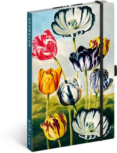 NOTIQUE Notes Tulipány Kateřiny Winterové, linkovaný, 13 x 21 cm (A-35791)
