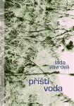 Příští voda - Lada Vávrová