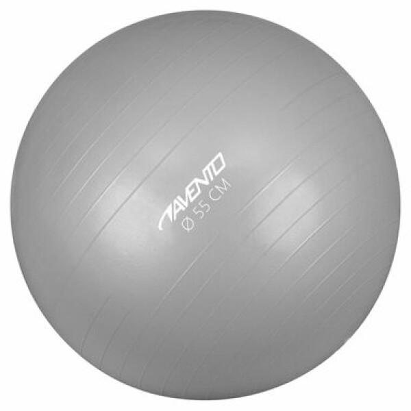 Petrashop Avento Fitness 55 cm