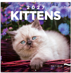 Kalendář 2027 poznámkový: Koťata 2027, 30 x 30 cm