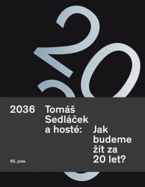 2036. Tomáš Sedláček a hosté: Jak budeme žít za 20 let? - Tomáš Sedláček - e-kniha