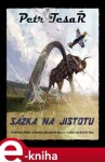 Sázka na jistotu - Petr Tesař e-kniha