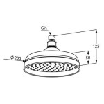 KLUDI - Adlon Hlavová sprcha, 20 cm, zlatá 2751045