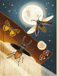 Broučci, motýli a další potvůrky - Kniha samolepek - Nikki Dysonová