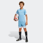 Tričko adidas Squadra 25 Jr JJ0050 140 cm