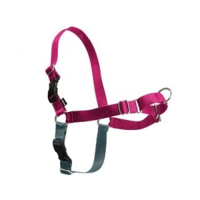 PetSafe Postroj EasyWalk