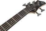 Ibanez BTB605L TGF