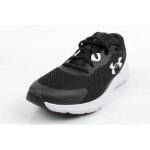 Dámské oblečení Under Armour 3024989-001