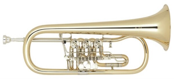 Miraphone 25 1100A100