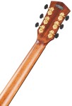 Cort Gold Edge NAT