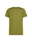 ICEBREAKER Mens Merino 125 CL Sphere SS Tee C Block, Sphagnum/Dark Loden/Cb (vzorek) velikost: M