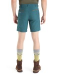 ICEBREAKER Mens Hike Shorts, Green Glory velikost: 30