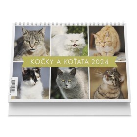 Kočky koťata 2024 stolní kalendář